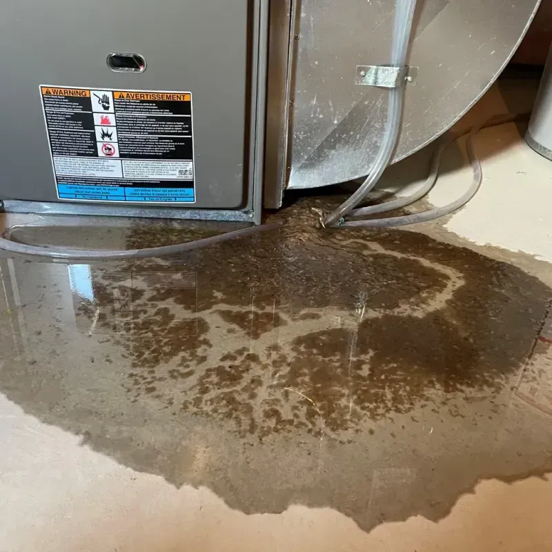 Appliance Leak Cleanup in Opp, AL